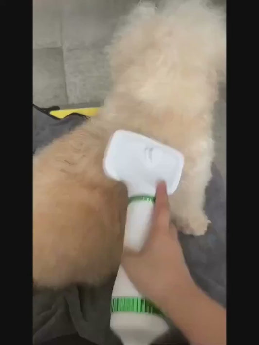 Cepillo Secador para Mascotas 2 en 1